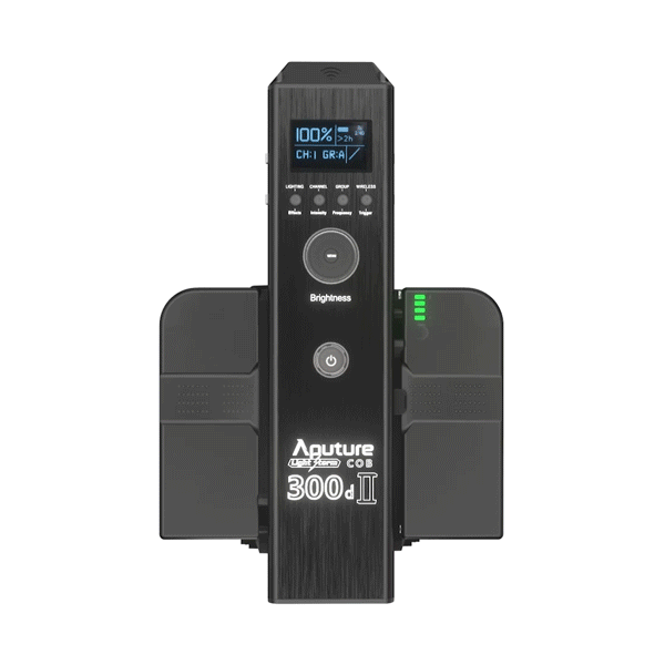 Aputure LS C300D II